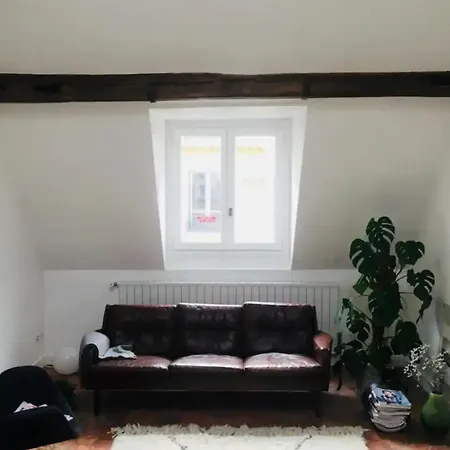 Bright Duplex Near Train Station Apartment *