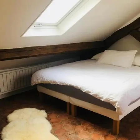 Bright Duplex Near Train Station Apartment